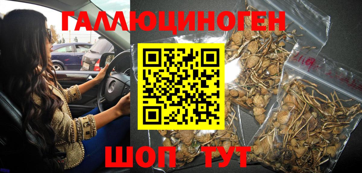 Комсомольск-на-Амуре  Галлюциногенные грибы прущие грибы  Вход с VPN 